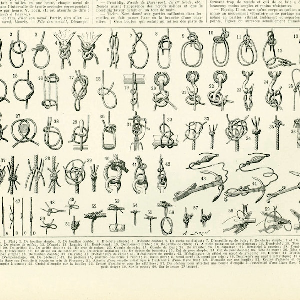 1933 Types de Noeuds illustration. Dessin Comment faire des noeuds, Larousse