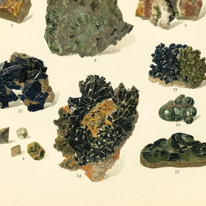 Op de afbeelding: Een verzameling van 10 verschillende mineraalmonsters, waaronder zwarte, groene en bruine kristallen. De monsters zijn genummerd van 3 tot en met 14.