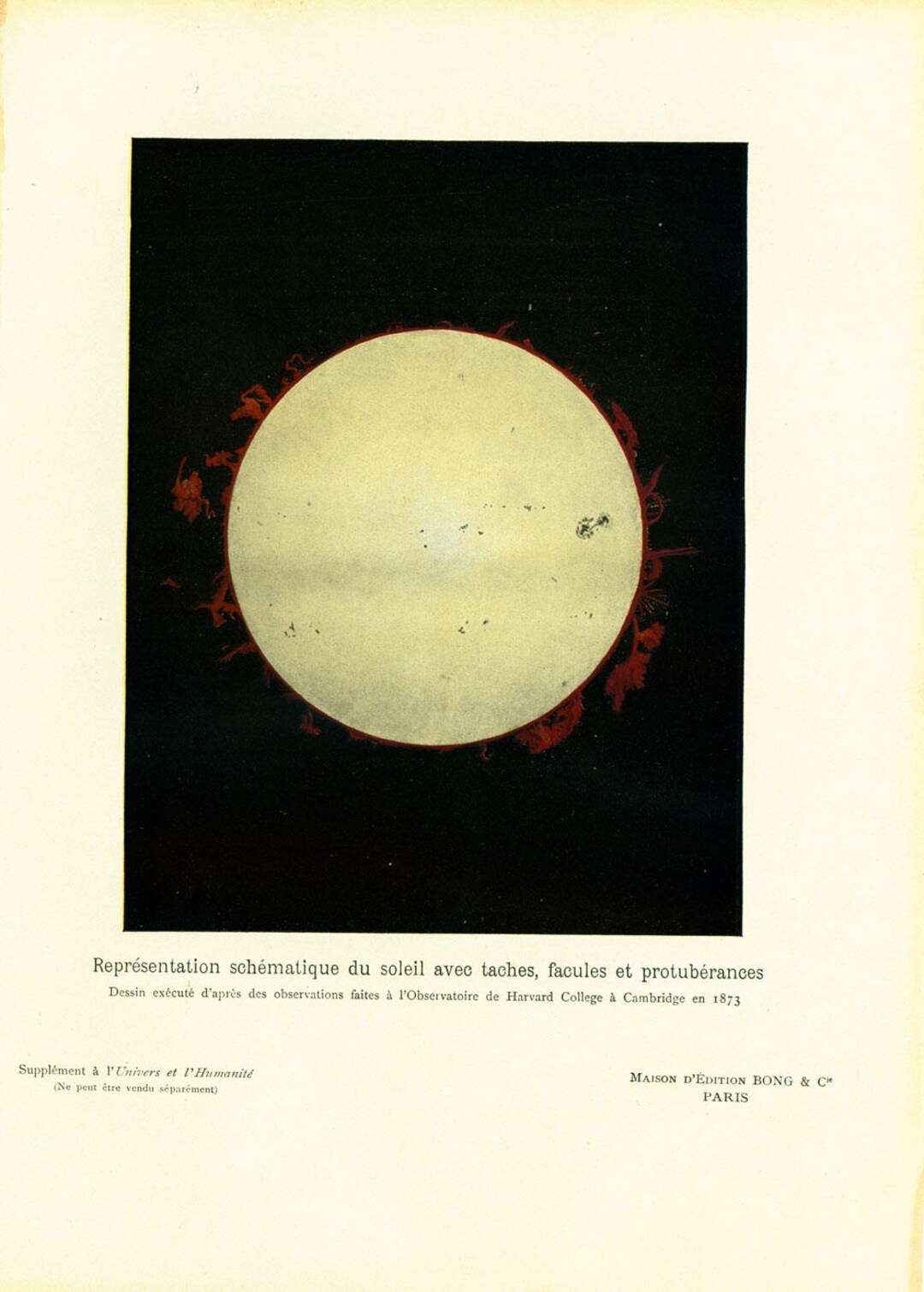1908 Sun Surface Landscape. Antique Solar Prominence. Astronomy ...