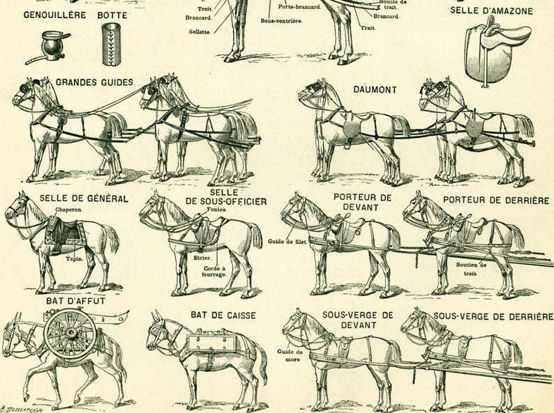 1897 Horse Harness Plow Horses Large Size illustration framing 115 years old original Larousse print french antique