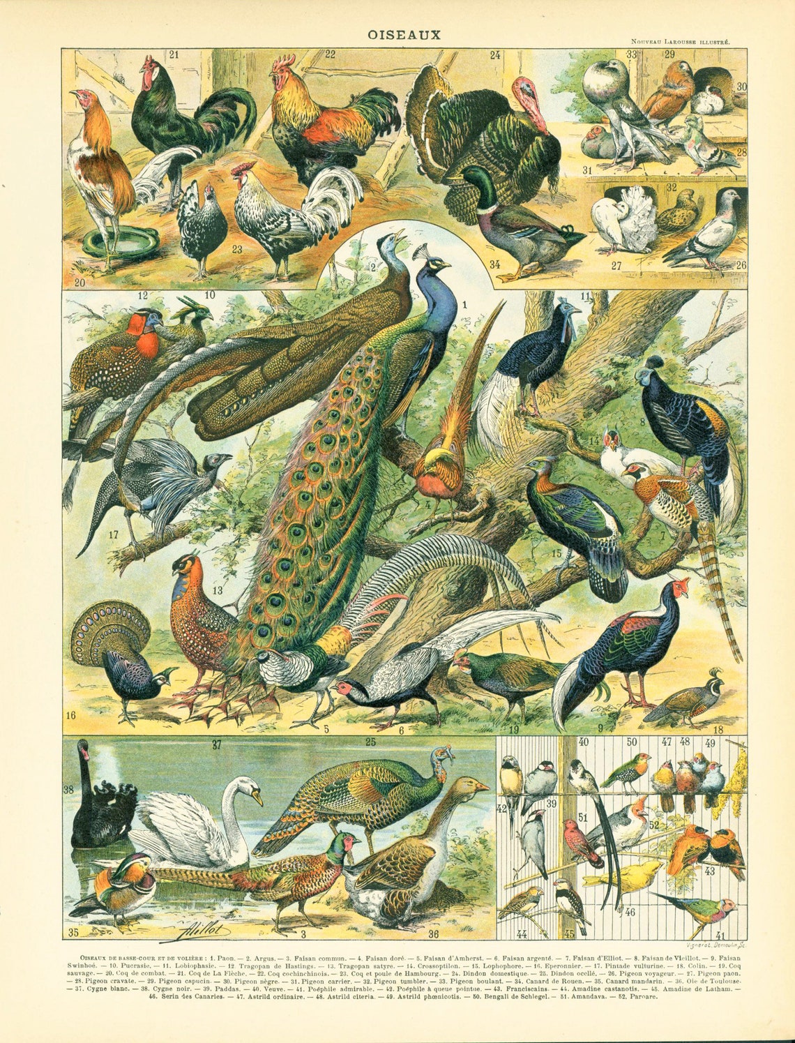 Lot D'animaux De Basse-cour Quiralu En Métal (Paon, Lapin, Coq, Pintade, Dindon)