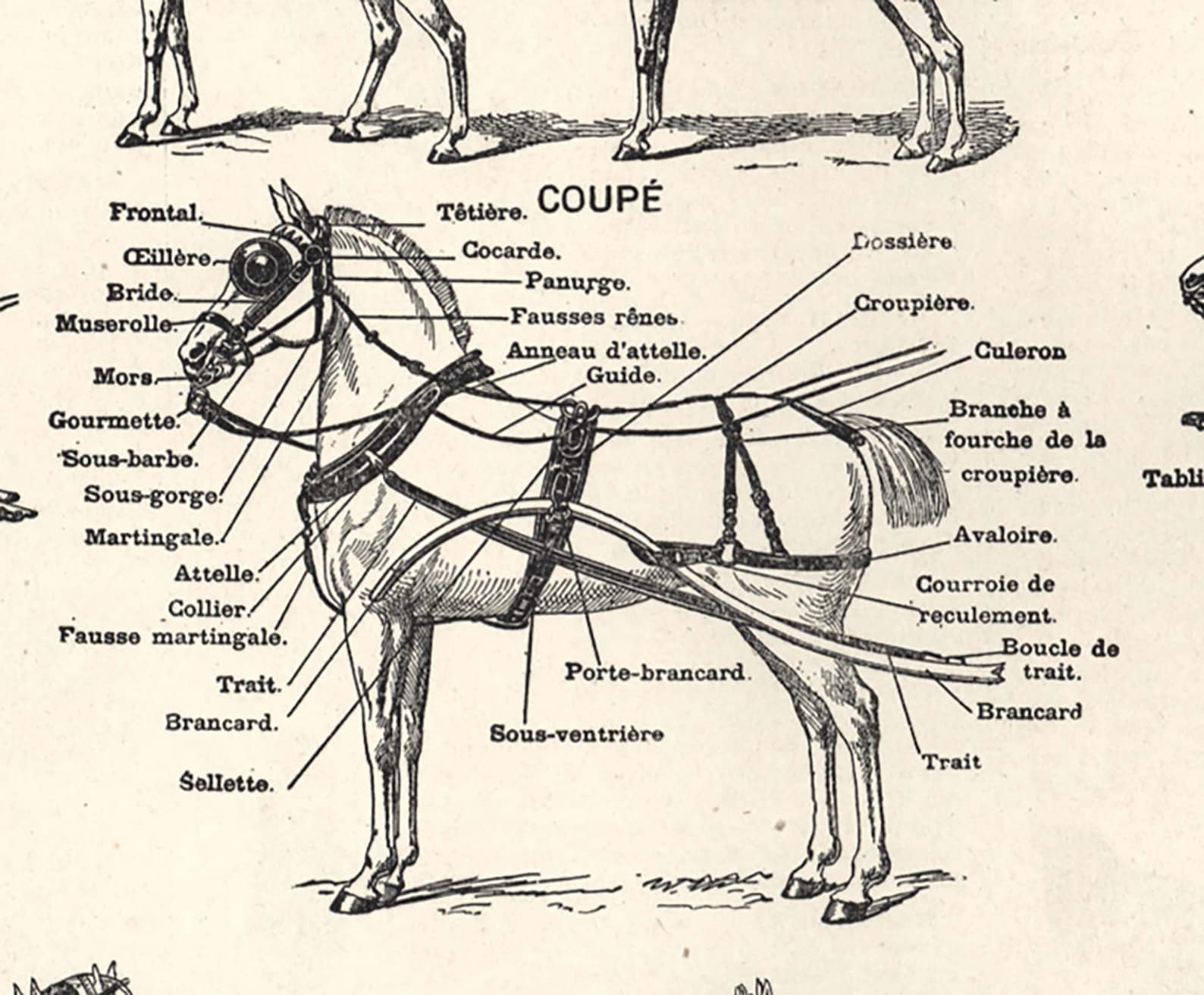 1897 Horse Harness Plow Horses Large Size Illustration - Etsy