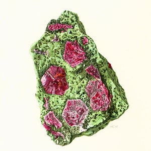 Op de afbeelding: Een close-up van een groene rots met ingebedde rode kristallen. De kristallen zijn in verschillende vormen en maten, en sommige zijn gedeeltelijk bedekt door de groene rots. De rots bevindt zich op een witte achtergrond.