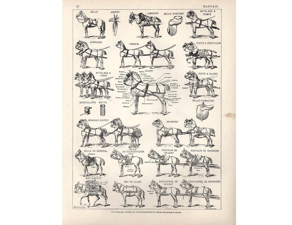 Ancien Harnais De Ferme équestre Buffalo NY Embouts Boule Laiton