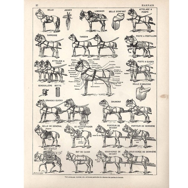 Horse and Plow - Etsy