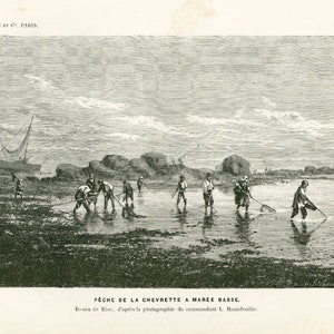May include: A black and white illustration of people fishing for shrimp in shallow water at low tide. The image is titled "Peche de la Chevrette a Maree Basse" and is credited to Rion, from a photograph by L. Hantefeuille.