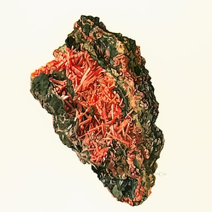 Könnte beinhalten: Eine Nahaufnahme eines roten und grünen Mineralproben mit einer rauen, strukturierten Oberfläche. Das Mineral ist ein Cluster aus kleinen, nadelförmigen Kristallen.