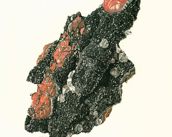 1970 Illustration Hématite Rouge Noire Planche Originale Pierres Minéraux Roches Cristaux. Géologie. Decoration murale.