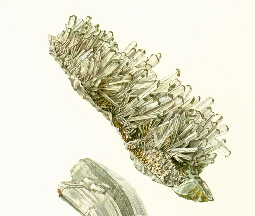 1970 Cristaux Prismatiques de Gypse. Planche Originale Minéraux Roches. Géologie. Decoration Murale.