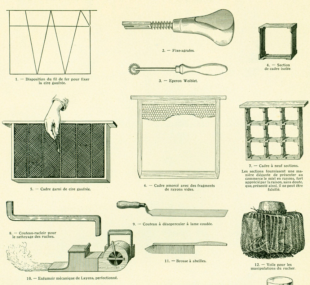 1922 Antique Beekeeping Print, Honey Harvesting, Beehive Print, Honey ...