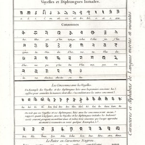1783 Sanskrit Script Alphabets language Antique Print from 18th century