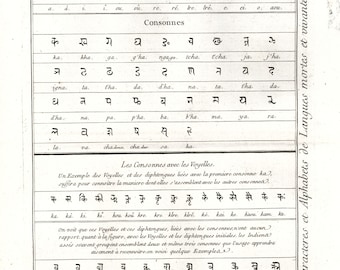 1783 Sanskrit Script Alphabets language Antique Print from 18th century
