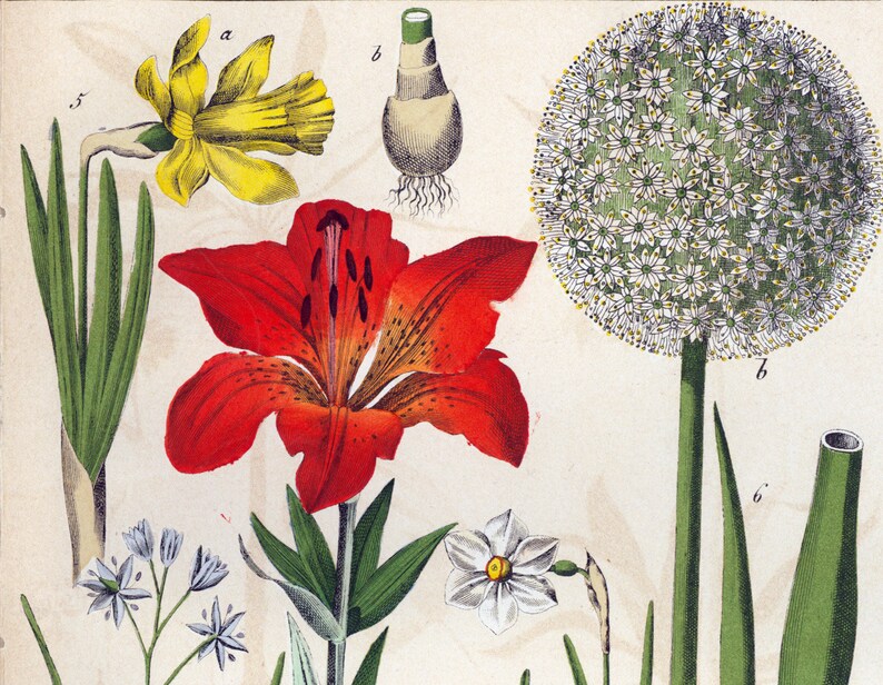 Maison Du Bananier Couëron | Ventana Blog