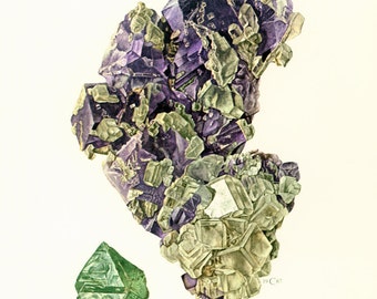 1970 Vintage Fluorite Illustration. Purple Crystals. Rocks Gemstone Minerals. Rock Minerals Collection Framing