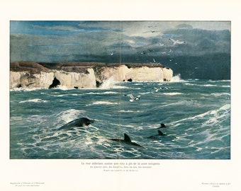 1908 Dolphins Sea Landscape Large Antique print Original Antique Fossil Illustration, Paleontology Wall Art.