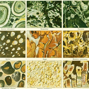 May include: A collection of nine images showcasing different types of rocks and minerals. The images include diorite, serpentine, variolite, spilite, jasper, meuliere cavernous, poudingue siliceous, calcaire pisolitique, and calcaire a entroques.