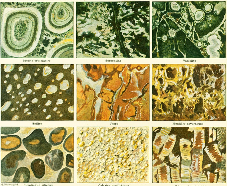 May include: A collection of nine images showcasing different types of rocks and minerals. The images include diorite, serpentine, variolite, spilite, jasper, meuliere cavernous, poudingue siliceous, calcaire pisolitique, and calcaire a entroques.