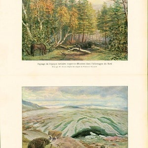 1908 Paysages du carbonifère, jurassique, glaciaire, Lot de 4 illustrations, Histoire Naturelle, Paléontologie. Fougères Mammouths
