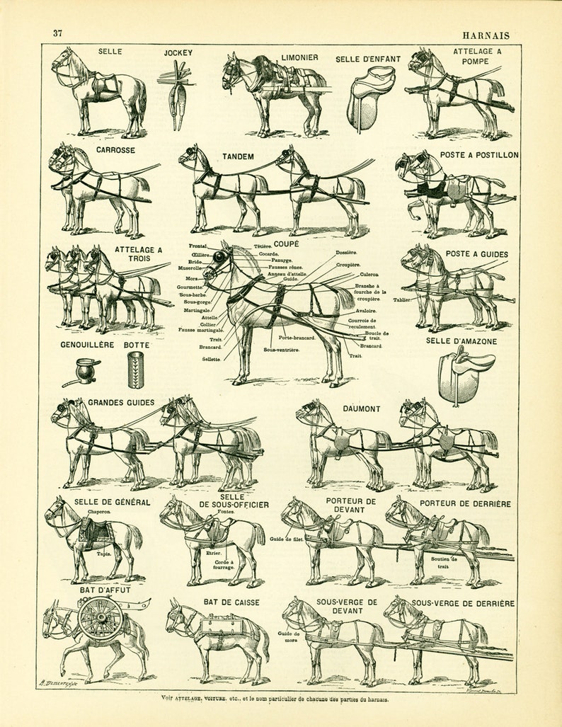 1897 Horse Harness Plow Horses Large Size illustration framing 115 years old original Larousse print french antique