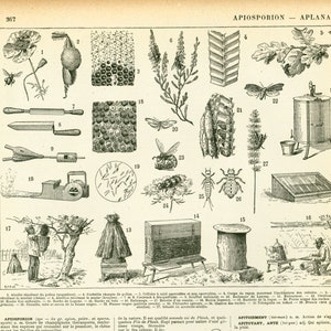 1897 Vintage Beekeeping Print, Antique Bee Large Size Larousse illustration, french antique, framing