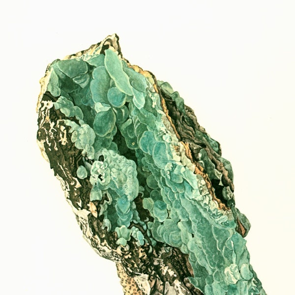 1970 Vintage Smithsonite Green Blue Crystals Thumbnail Print . Antique Earth Science. Rocks Gemstone Minerals  Framing home decor