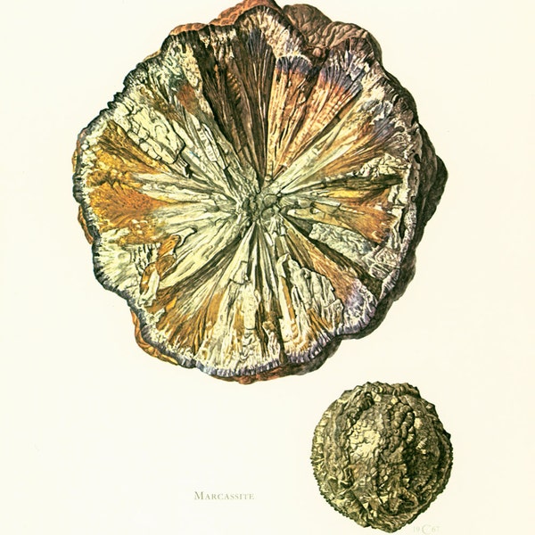 1970 Illustration Marcassite. Pierre à feu. Pyrite. Planche Originale Pierres Mineraux Roches Cristaux. Geologie. Decoration murale.