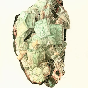 1970 Apophyllite on Basalt Rock Matrix, Mint Green Blocky Crystals, Gemstone, Collector Mineral Specimen, Brazil