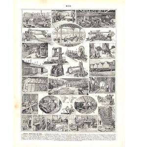 1933 Bois Exploitation Forestière Scierie Abattage arbres Planche originale Larousse Illustration Grand Format 19ème siècle