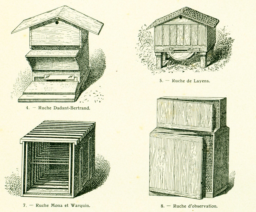 1922 Antique Beekeeping Print, Honey Harvesting, Beehive Print, Honey ...