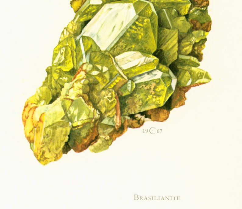 1970 Greenish Yellow Brazilianite Crystals Print. Minerals Wall Art. Vintage geology Illustration. SCI ART Print. image 4
