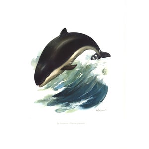 May include: A black and white watercolor painting of a dolphin leaping out of the water. The dolphin is in mid-air, with its mouth open and its tail splashing the water. The water is a deep blue, with white foam around the dolphin.