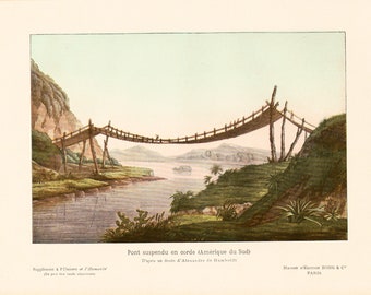 1908 Antique Suspended Bridge  Plant illustration Botanical wall art
