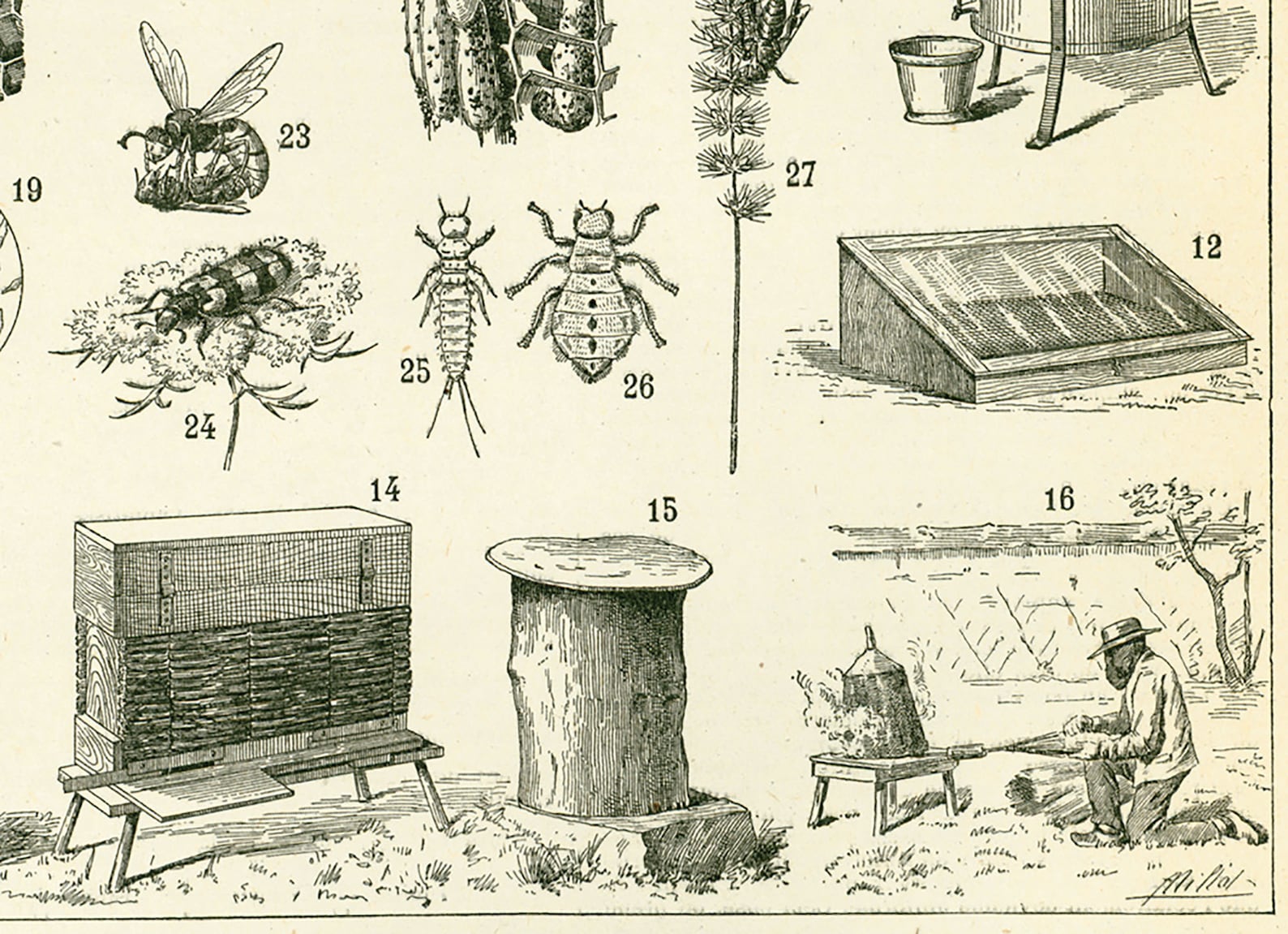 1897 Vintage Beekeeping Print, Antique Bee Large Size Larousse ...