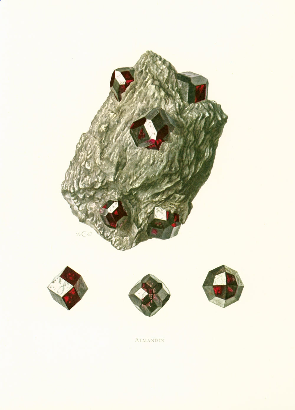 1970 Almandin. Planche Originale Minéraux Roches. Géologie. Decoration Murale.