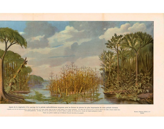 1908 Landscape Large Antique Carboniferous Period Era Print Etsy