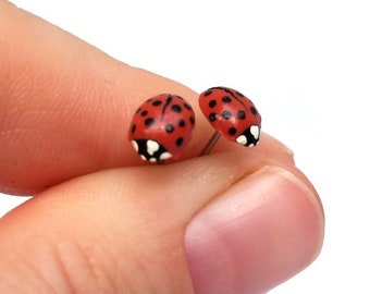 Ladybug Earrings, Best Selling Items, Earrings Studs, Titanium Earrings, Stud Earrings, Hypoallergenic Earrings, Unique Earrings, Ears Stud,