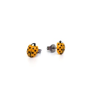 Pictured is a pair of yellow 
ladybug earrings on a solid white background.