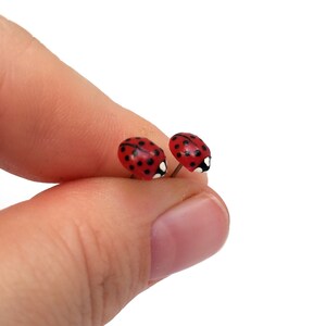 Pictured is a pair of realistic red ladybug earrings being held between a thumb and index finger for a close-up shot and size reference.