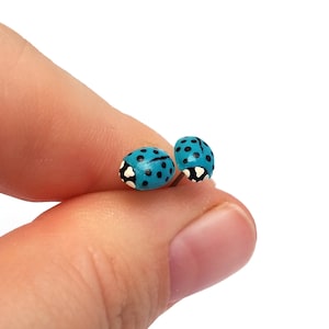 May include: A pair of blue ladybug stud earrings with black and white polka dots.