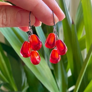 Lampwork Pomegranate Seed Earrings: Sterling Silver, Ruby Glass