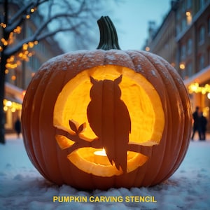 Può includere: Una grande zucca arancione con un'apertura circolare intagliata che mostra la sagoma di un gufo appollaiato su un ramo. L'interno è illuminato da una luce calda e la parte superiore è spolverata di neve. Il testo PUMPKIN CARVING STENCIL è visibile.