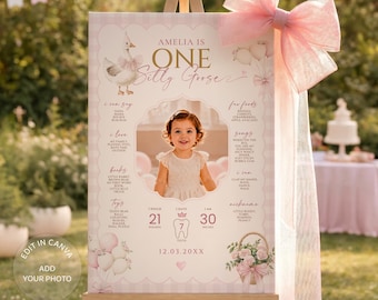 One Silly Goose Birthday Photo Milestone Sign, One Year Birthday Stats Board, Baby First Year Poster, Canva Template Digital Download, #OSG2