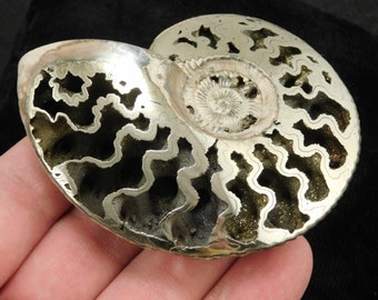 Very rare Ammonite geode with silver pyrite cabochon from Russia 39\u044531\u04455 mm