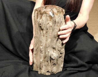 May include: A large, irregularly shaped, petrified wood specimen. The top is smooth and translucent, while the sides are rough and textured, displaying shades of brown and gray. The wood is held against a black background.