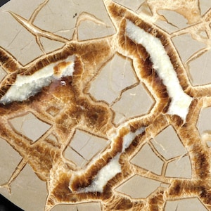 Larger! Polished SEPTARIAN Nodule Slab With a Lightning Like Pattern! Utah 319gr