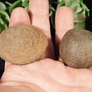 Larger MOQUI Marble or Shaman Stone PAIR 100% Natural From Utah 109gr