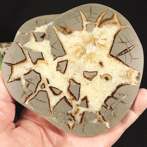 Larger! Polished SEPTARIAN Nodule Slab With a Lightning Like Pattern! Utah 348gr