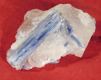 100% Natural Bright BLUE KYANITE Crystal Cluster With Quartz! 116gr