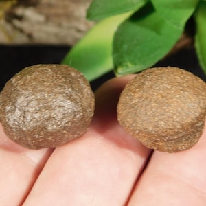 Little Moqui Marble or Shaman Stone PAIR 100% Natural From Utah 17.9gr