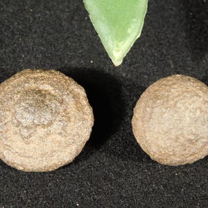 Small Moqui Marble or Shaman Stone PAIR 100% Natural From Utah 21.0gr